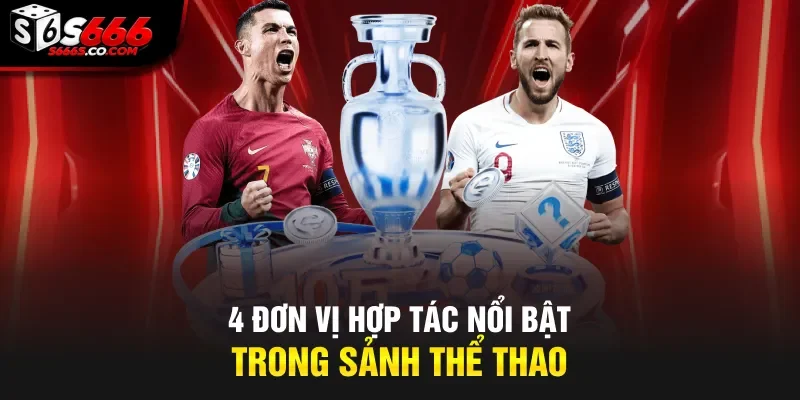 4 đơn vị hợp tác nổi bật trong sảnh thể thao