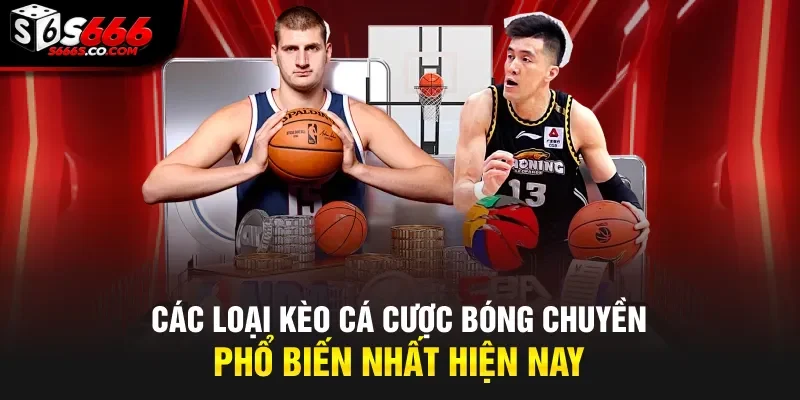Các loại kèo cá cược bóng chuyền phổ biến nhất hiện nay