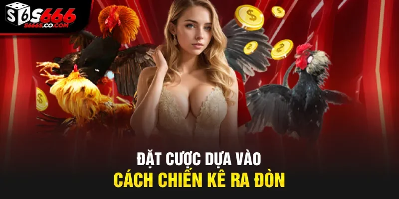 Đặt cược dựa vào cách chiến kê ra đòn
