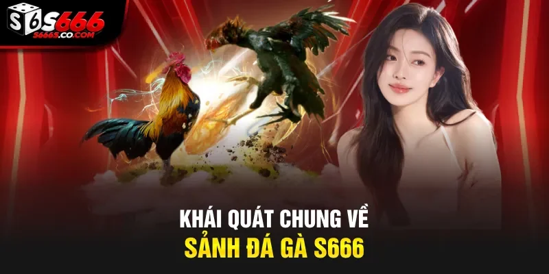 Khái quát chung về sảnh đá gà S666