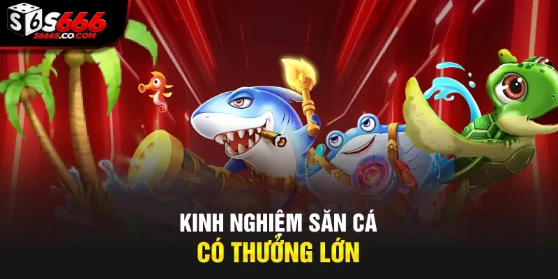 Kinh nghiệm săn cá có thưởng lớn