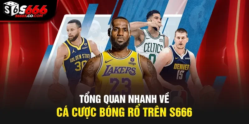 Tổng quan nhanh về cá cược bóng rổ trên S666