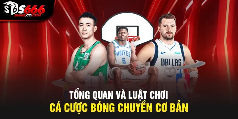 Tổng quan và luật chơi cá cược bóng chuyền cơ bản